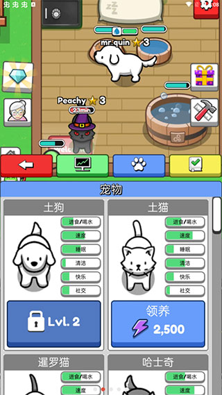 云養(yǎng)寵物