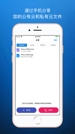 城通網(wǎng)盤解析器截圖