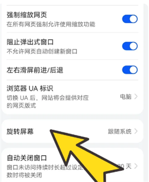 啵啵瀏覽器黑色版