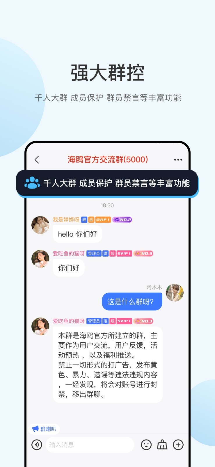 海鷗聊天