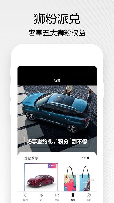 東風(fēng)標(biāo)致