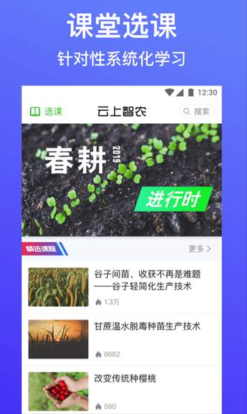 云上智農
