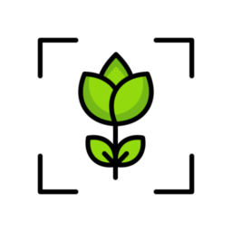 專注自律