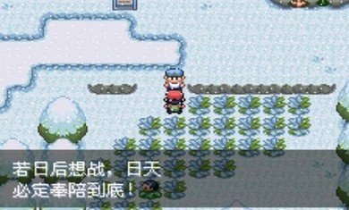口袋妖怪不归之殇暗