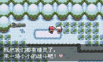 口袋妖怪不归之殇暗