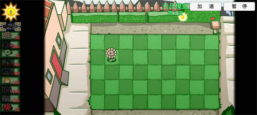 蓝飘飘fly植物大战僵尸截图3