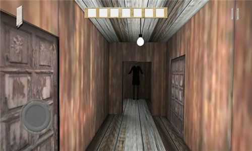 兰德里纳河的森林雨天模组截图1