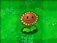 植物大战僵尸整合包