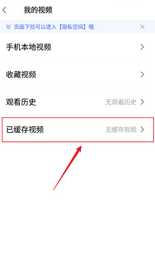 vivo浏览器极速版