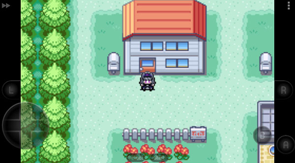 口袋妖怪极夜永昼无相截图2