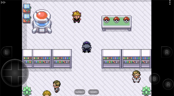 口袋妖怪极夜永昼无相截图1