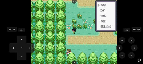 口袋妖怪燃之智虫虫助手截图