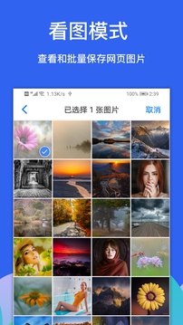 Alook浏览器手表版截图2
