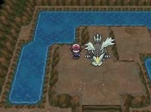 口袋妖怪绿宝石890