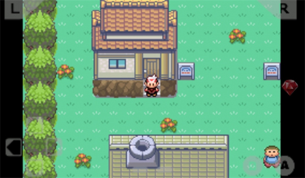 口袋妖怪漆黑的魅影9.0截图3