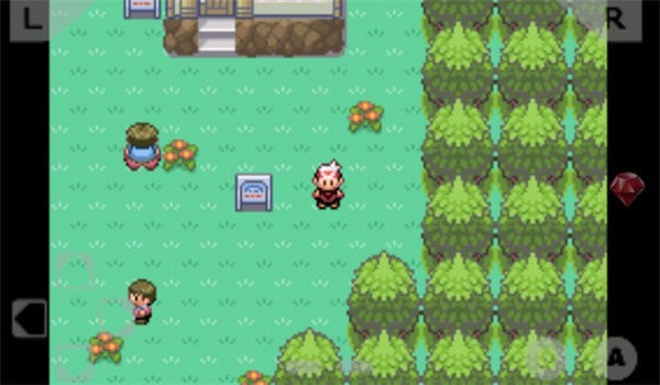 口袋妖怪漆黑的魅影9.0截图2