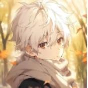 口袋妖怪诸神黄昏重置小智篇