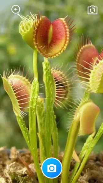 全能工具箱和平精英