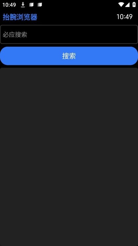 抬腕浏览器手表版截图3