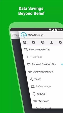 Puffin海鹦浏览器截图2