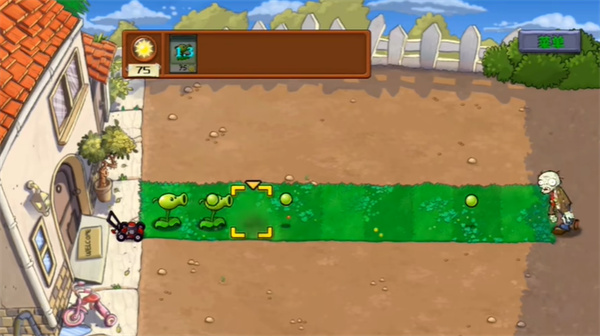 植物大战僵尸ra版