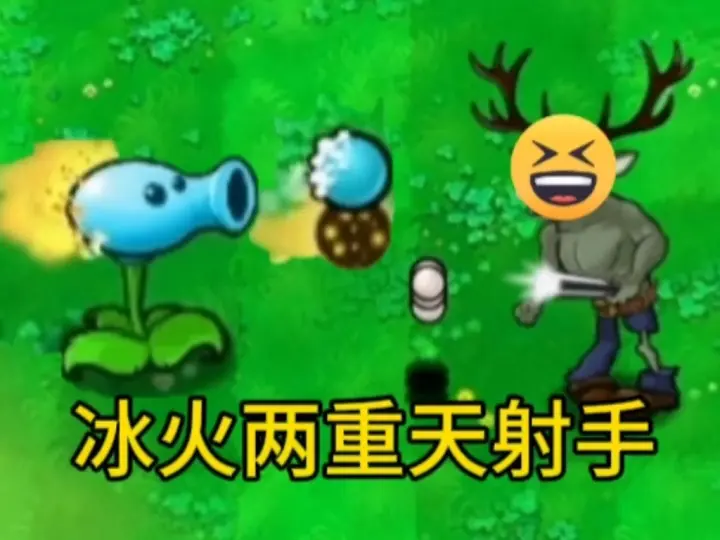 植物大战僵尸逆天版