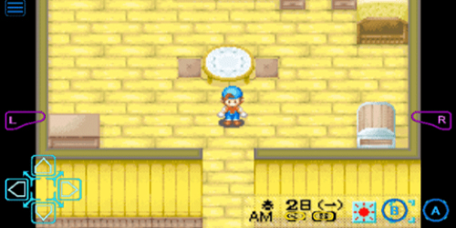 牧场物语矿石镇的伙伴们