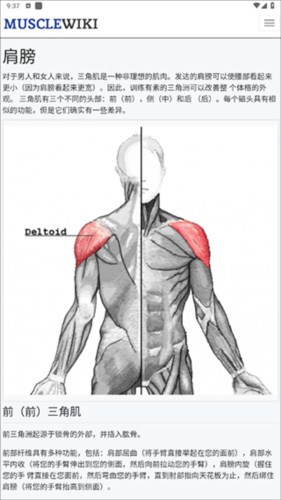 musclewiki官方版图片10