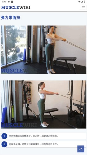 musclewiki官方版图片13