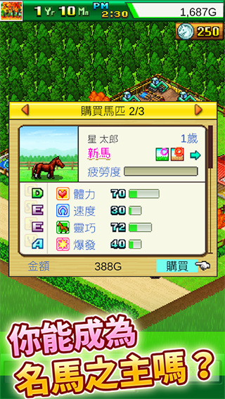 赛马牧场物语截图