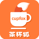 茶杯狐foxcup