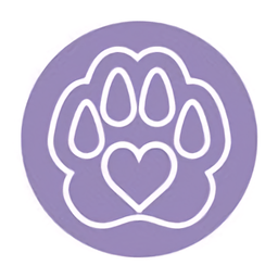 驾考宝典摩托车