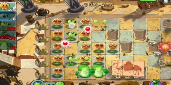 植物大战僵尸拓展版