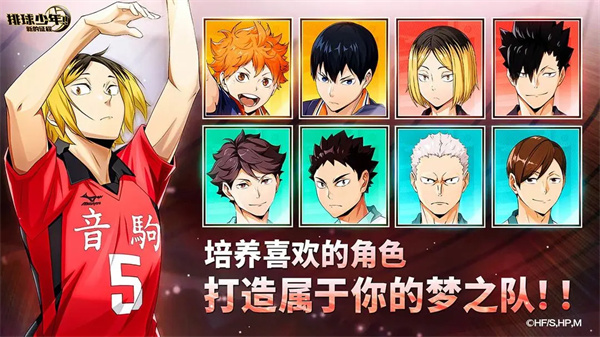 排球少年新的征程国服