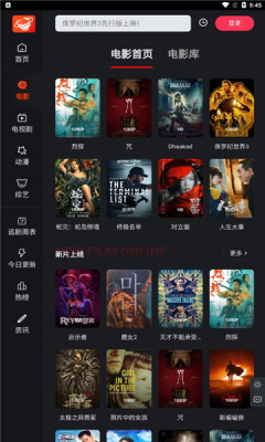 大米星球netflix