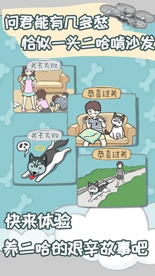 养只二哈不容易截图