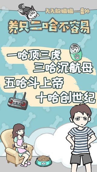 养只二哈不容易