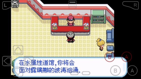 口袋妖怪剑盾10.2截图