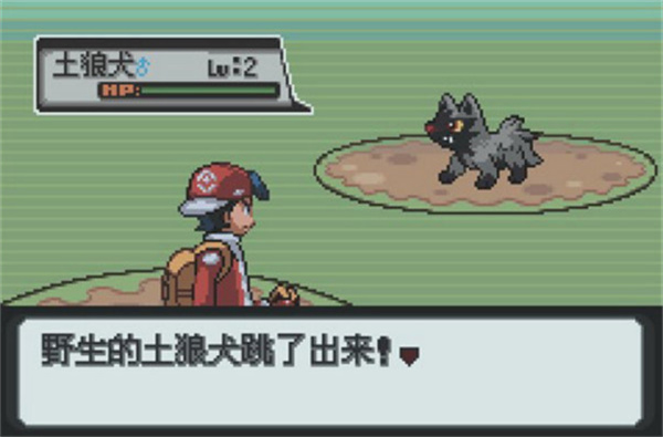 口袋妖怪维度空间