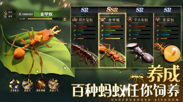 小小蚁国国服截图1