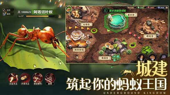 小小蚁国国服截图2