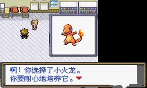 口袋妖怪最后的火红4.03截图3