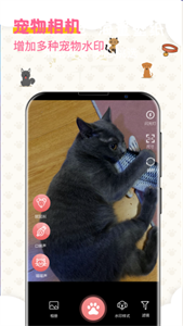 宠物翻译器中文版截图3