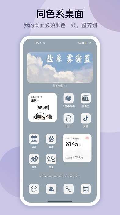 TopWidgets万能小组件截图