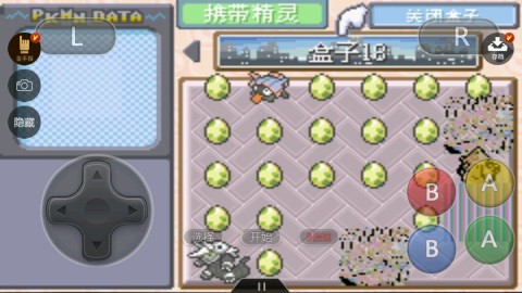 口袋妖怪究极绿宝石5.4截图