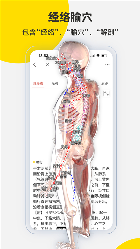 3dbody免费版截图