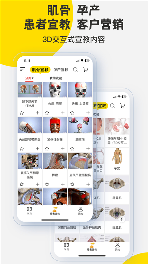 3dbody免费版截图