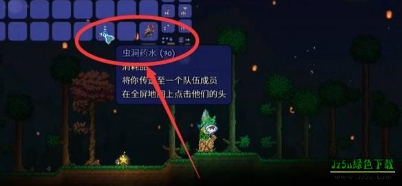 Terraria虫洞药水怎么用2