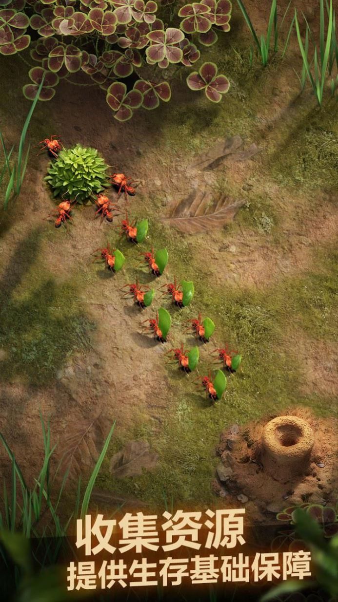 小小蚁国真实蚁巢截图1