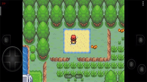 口袋妖怪彼岸花绽放之夜截图